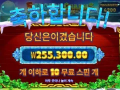 5프로즌 빅윈 후기