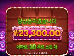 프라그마틱 파워넛지