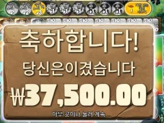 아마존익스트림 후기
