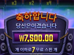 프라그마틱 헬비스와일드 후기