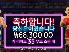 빅베스복싱보너스 라운드 아직 남았다