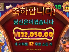 요즘 배당금 쏠쏠한 도그하우스멀티홀드