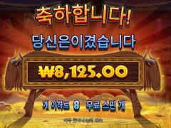 와일드윌더비스트윈 바닥