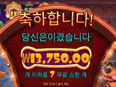 온라인슬롯 도그하우스멀티홀드 후기