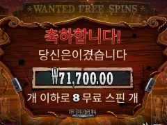 와일드갱 8스핀 소소하게 불금