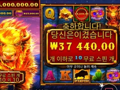 파이어스탬피드 힘내자