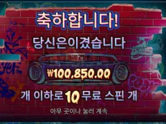 더빅도그 깔끔한 10콩