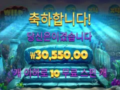 와일드와일드펄스 적당한 배당