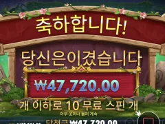 멀린 노갬블 10판 후기