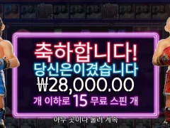 온라인슬롯 복싱보너스 후기