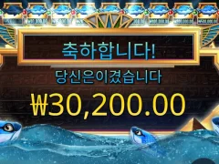피쉬아이 적당히 재미 봤네요