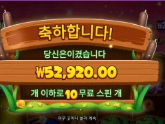프라그마틱 타이니토드스 후기