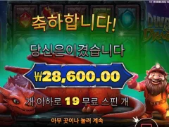 드워프앤드래곤 후기