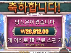 컬트 슈퍼구매 후기