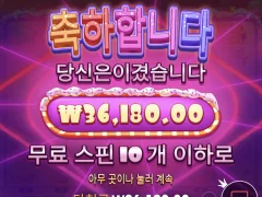 슈가천 3연속 슈퍼구매 후기