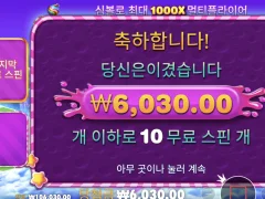 슈퍼구매 진짜 다 사기아님?