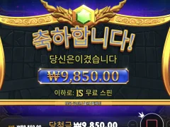 올푸는 나랑 너무 안맞아
