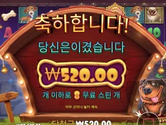 개집 도그하우스 좆망 후기