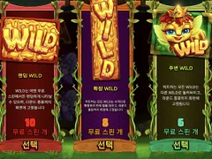 여왕벌 위치는 좋게 나왔는데