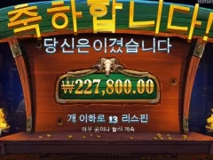 카우보이코인 나름 빅윈 22콩