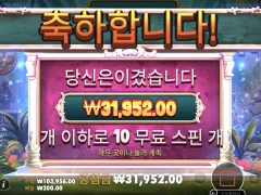 나도 컬트 슈퍼구매 대박나고 싶다 ><