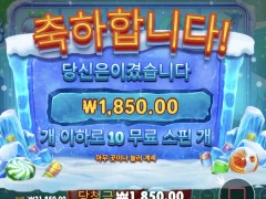 프라그마틱 아이스민트 구매 후기