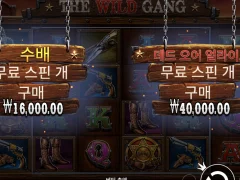 와일드 갱 구매 더 비싼거 후기
