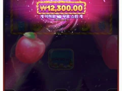스위트 러쉬 보난자 연속 꽝