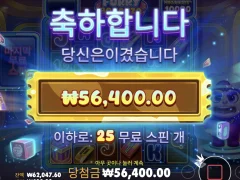 퍼리보난자 미스터리 25개