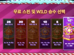 젤리 익스프레스 뭔가 촉이 좋았는데 까비다