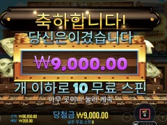 스티밍릴스 허허.. 어렵네유