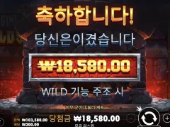포징와일즈 후기요약