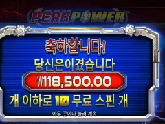 피크파워 10스핀 11만 원대… 전기 좀 제대로 통했네