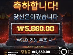 포징와일드 후기 하지마세요..