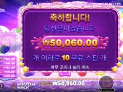 스위트 보난자 2500 손맛 괜찮네요 야무지게 봤습니다