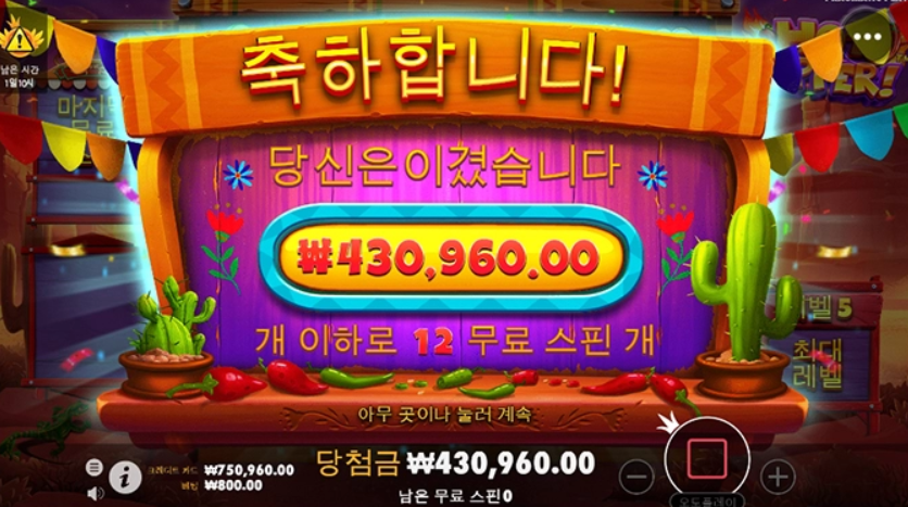 핫페퍼 ㅅㅅㅅㅅ