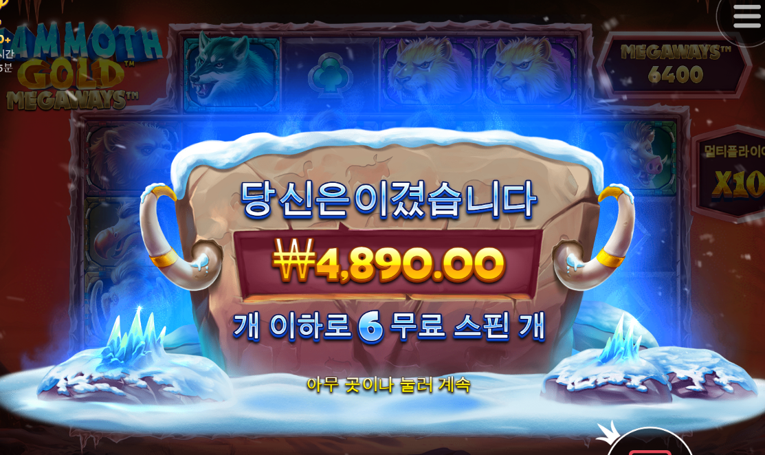 맘모스 골드 후기