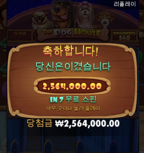 개집 이 내 집 사줄듯 ?