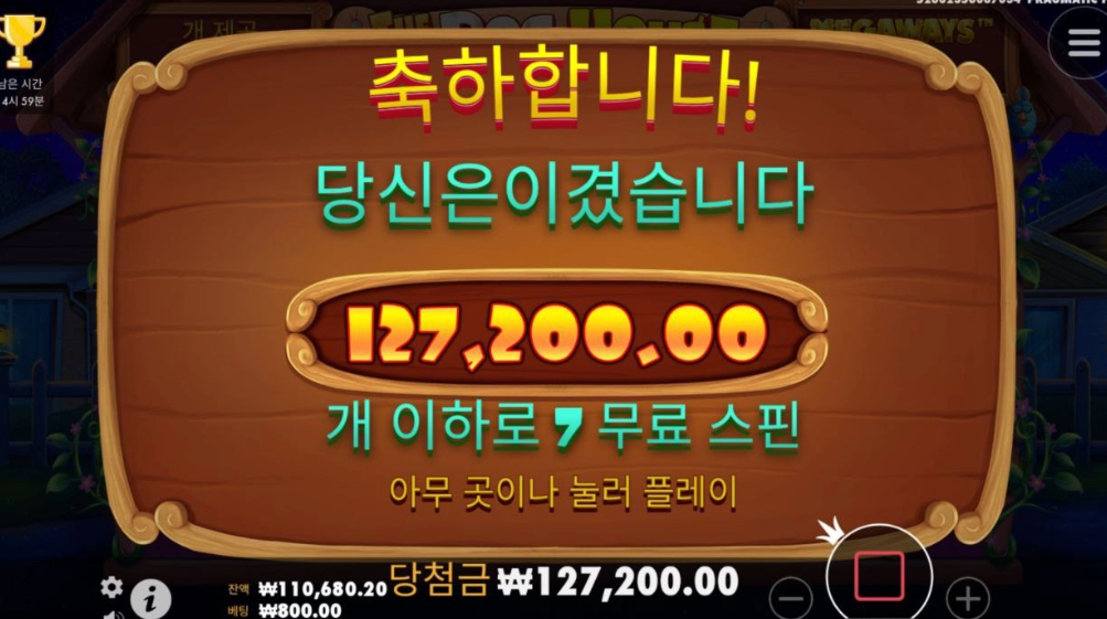 도그 한판 오질라게 먹어불자