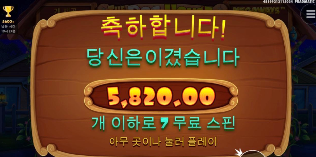 주말인데 도그메가로 재미못봄