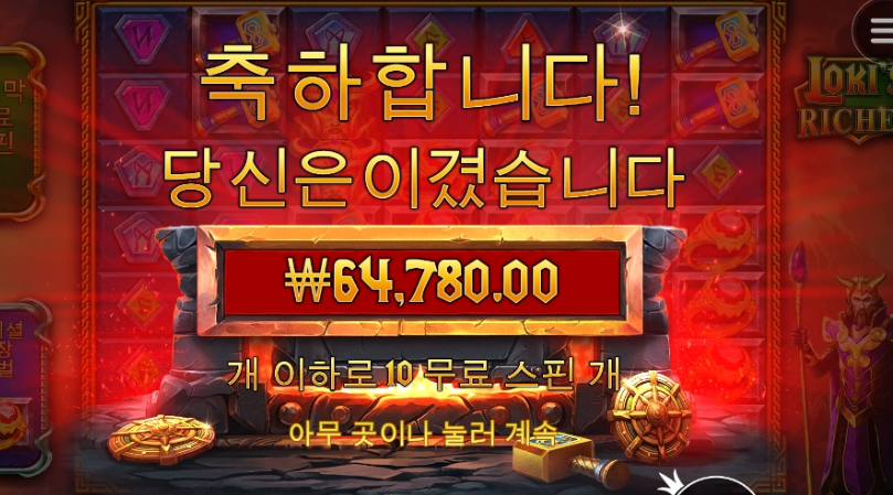 로키 치킨 두마리 벌구 시마이 ㅎㅎ
