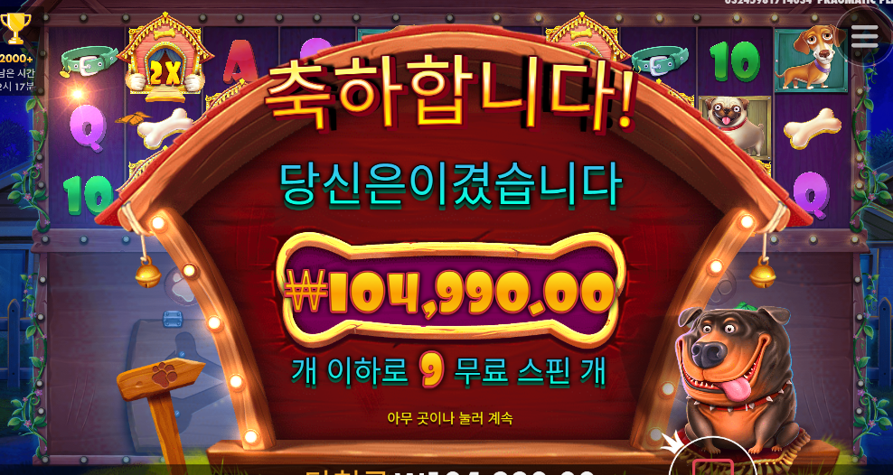 도그하우스 멀티홀드 524배 ㅅㅅㅅ