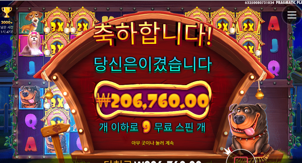개집 멀티홀드 좋네요 344배 ㅅㅅㅅ
