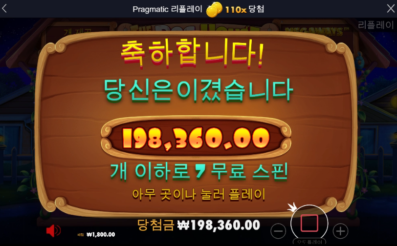 도그하우스 상타취 먹음