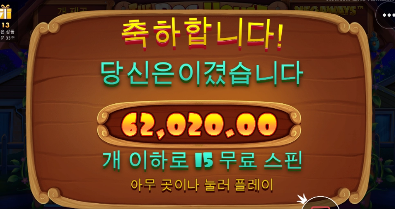 오랜만에 도그하우스 강아지 산책~~~