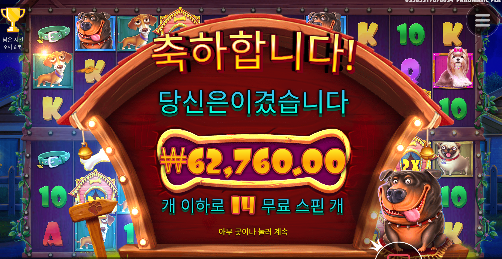 도그하우스 멀티홀드 개집 다열고 겨우 본전 휴..