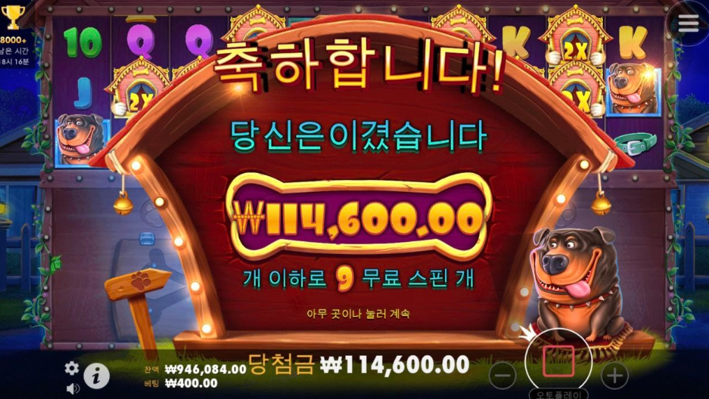 도그하우스 멀티홀드 오늘 멍멍이키우는사람 많네