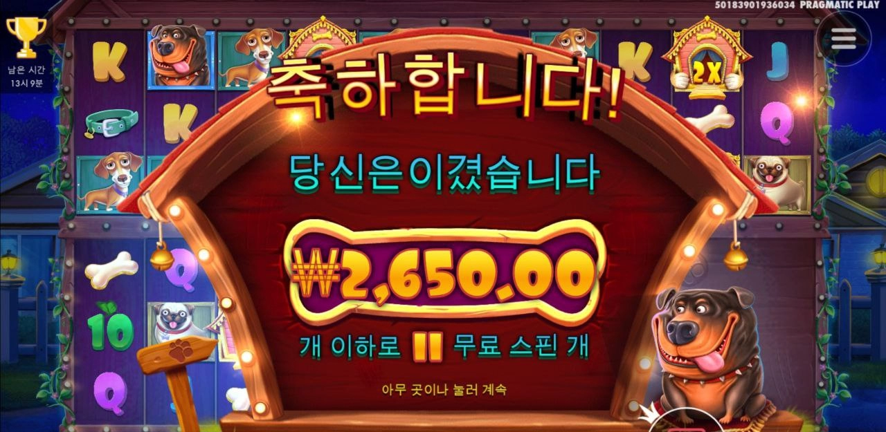 개집 멀티홀드 3칸 열었는데 이럴수가