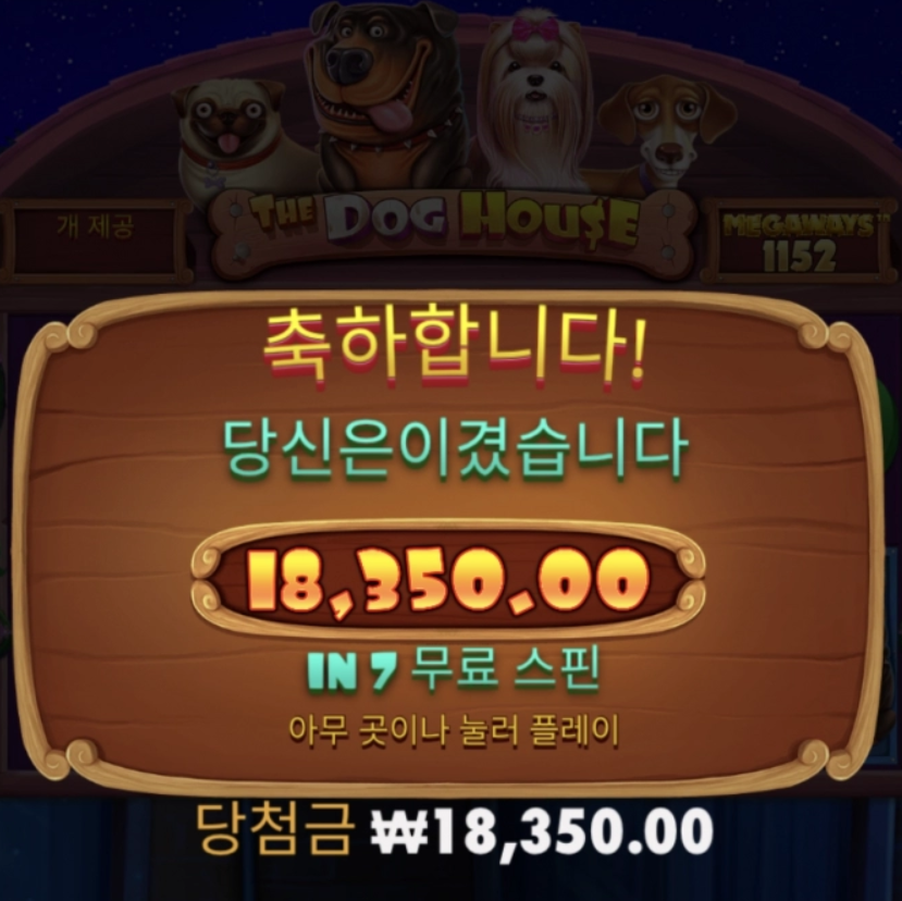 도그하우스 구관이 명관이다