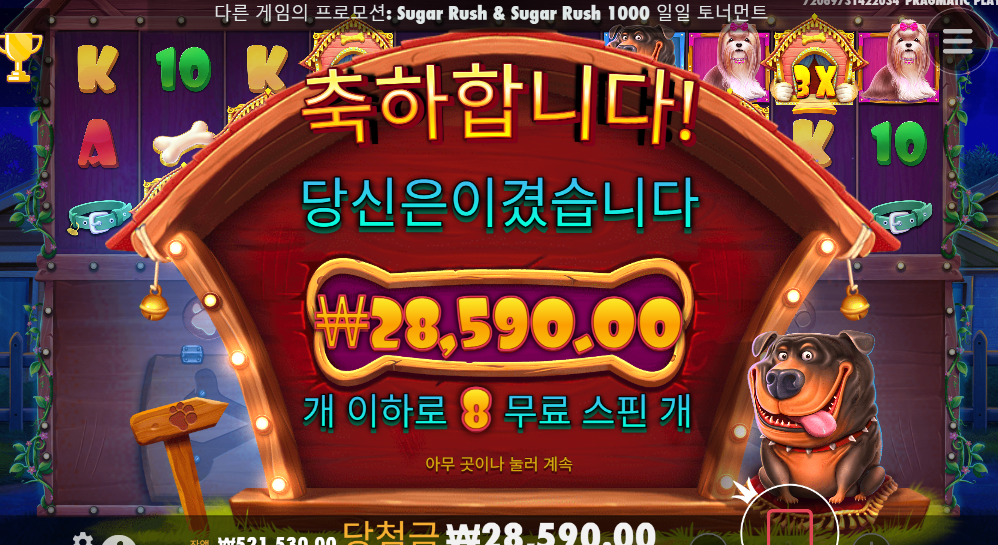 개집 멀티홀드 스타트 ㅅㅅㅅ